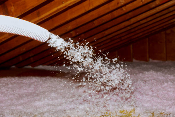 Best Attic Insulation Installation  in Wadesboro, NC