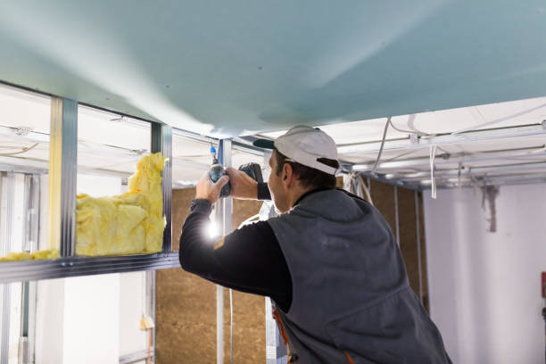 Best Soundproof Insulation  in Wadesboro, NC